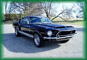 Shelby GT 500